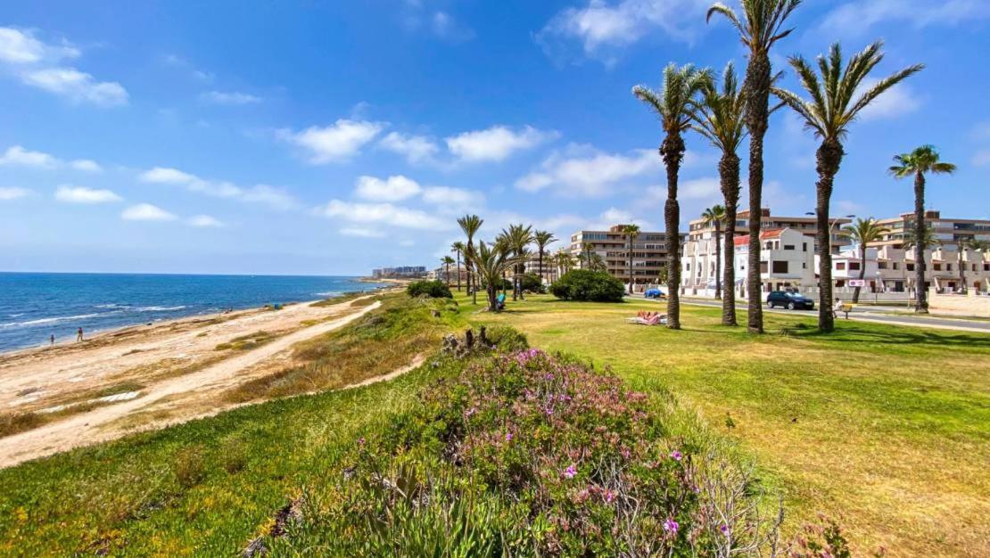 Apartamento Villa Amalia Torrevieja Zewnętrze zdjęcie