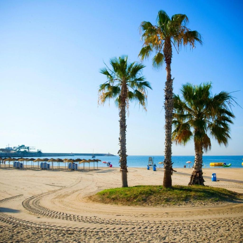 Apartamento Villa Amalia Torrevieja Zewnętrze zdjęcie