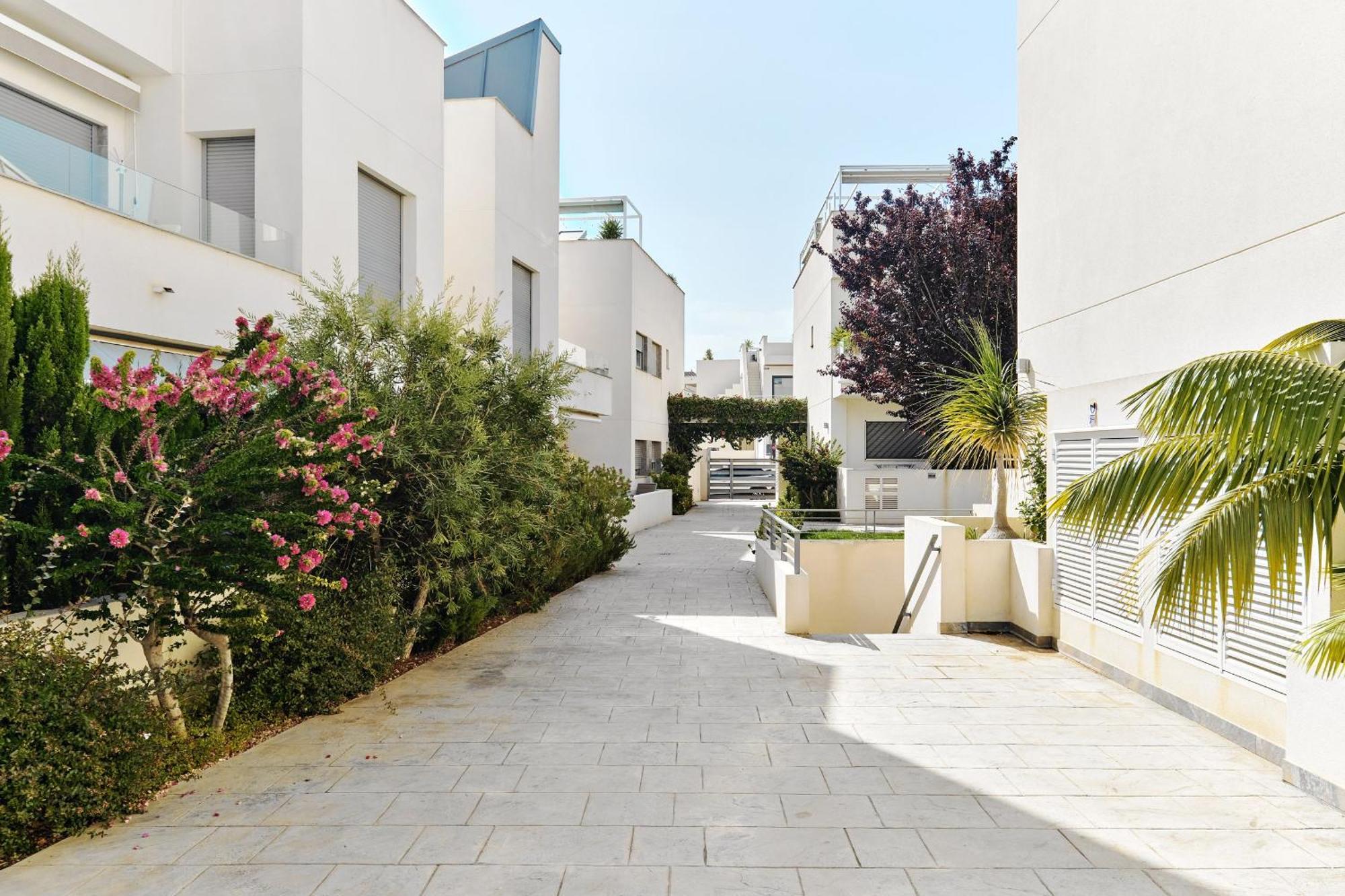 Apartamento Villa Amalia Torrevieja Zewnętrze zdjęcie