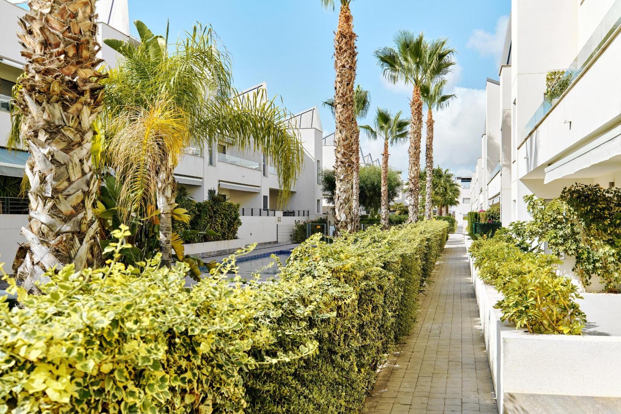 Apartamento Villa Amalia Torrevieja Zewnętrze zdjęcie
